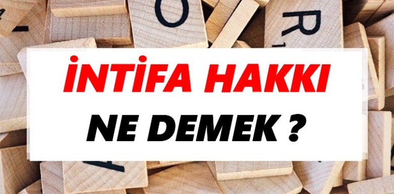 HAZİRAN 2022 - İntifa Hakkı nedir? Bilinmesi gereken kritik bilgiler nelerdir?