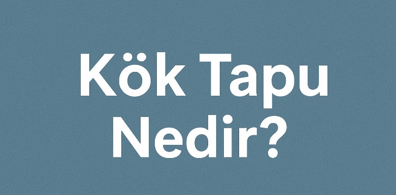 Kök Tapu Nedir? Gayrimenkulde Önemi ve Dikkat Edilmesi Gerekenler