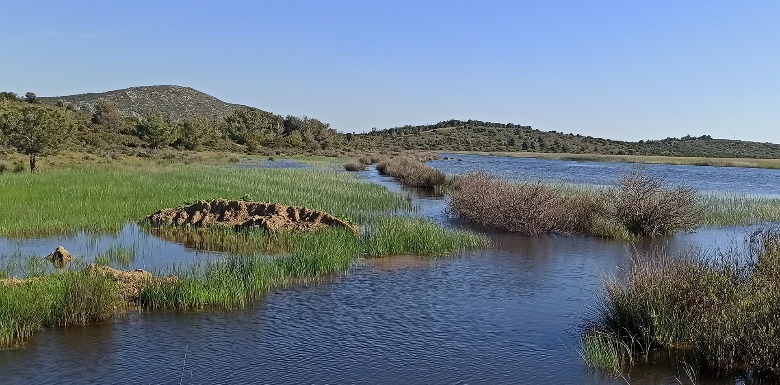 İzmir’in Özel Noktası: İris Gölü