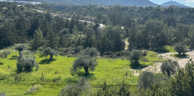 Arsa arazi Yatırımında Nelere Dikkat Etmeliyim?