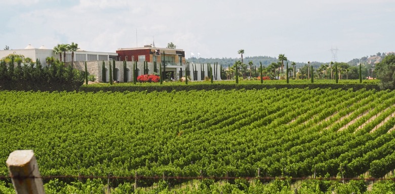 Urla’da Kış Aylarında Yaşamak: Fırsatlar ve İdeal Alanlar