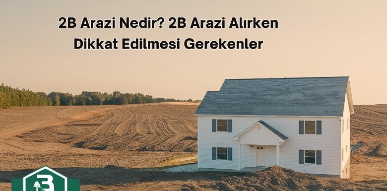 2B Arazi Nedir? 2B Arazi Alırken Dikkat Edilmesi Gerekenler