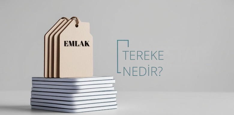 Tereke Nedir? Tereke Davası ve Temsilcisi Hakkında Bilgi