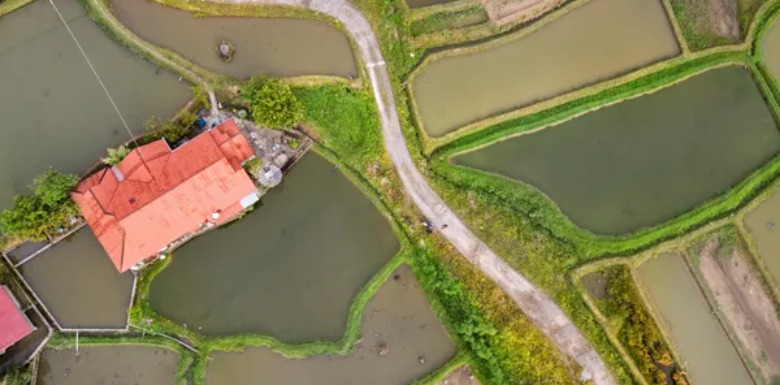 Güvenilir Bir Arsa Yatırımı İçin Dikkat Edilmesi Gerekenler