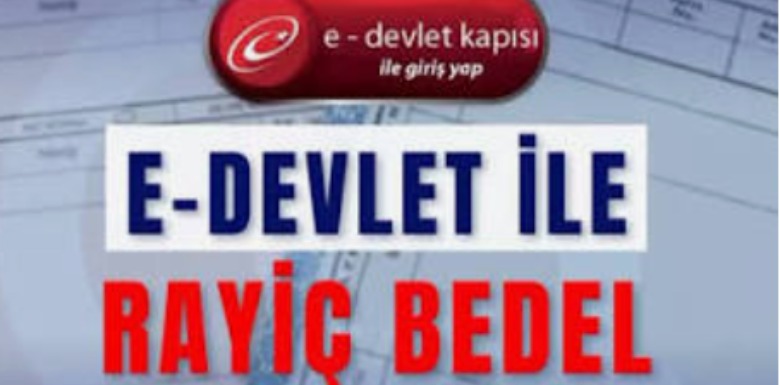 E-Devlet Üzerinden Rayiç Bedel Sorgulama Nasıl Yapılır?