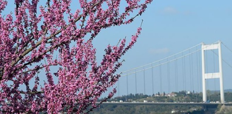 Yarıyıl Tatili İçin Mesaj