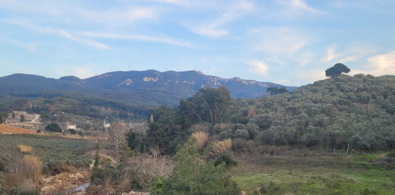Kuşadası Lüks Konut Yatırımı: Ege'nin Yeni Merkezi