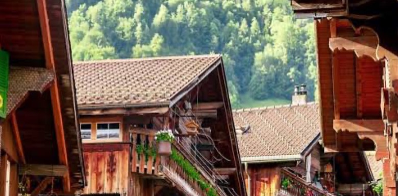 TAPU’da Cins Değişikliği Nedir, Nasıl Yapılır? Belgeler, Ücretler ve Süreç