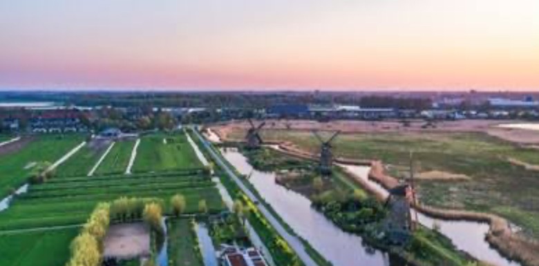 Tapuda Şufa Hakkı (Ön Alım Hakkı) Nedir, Nasıl Kullanılır?