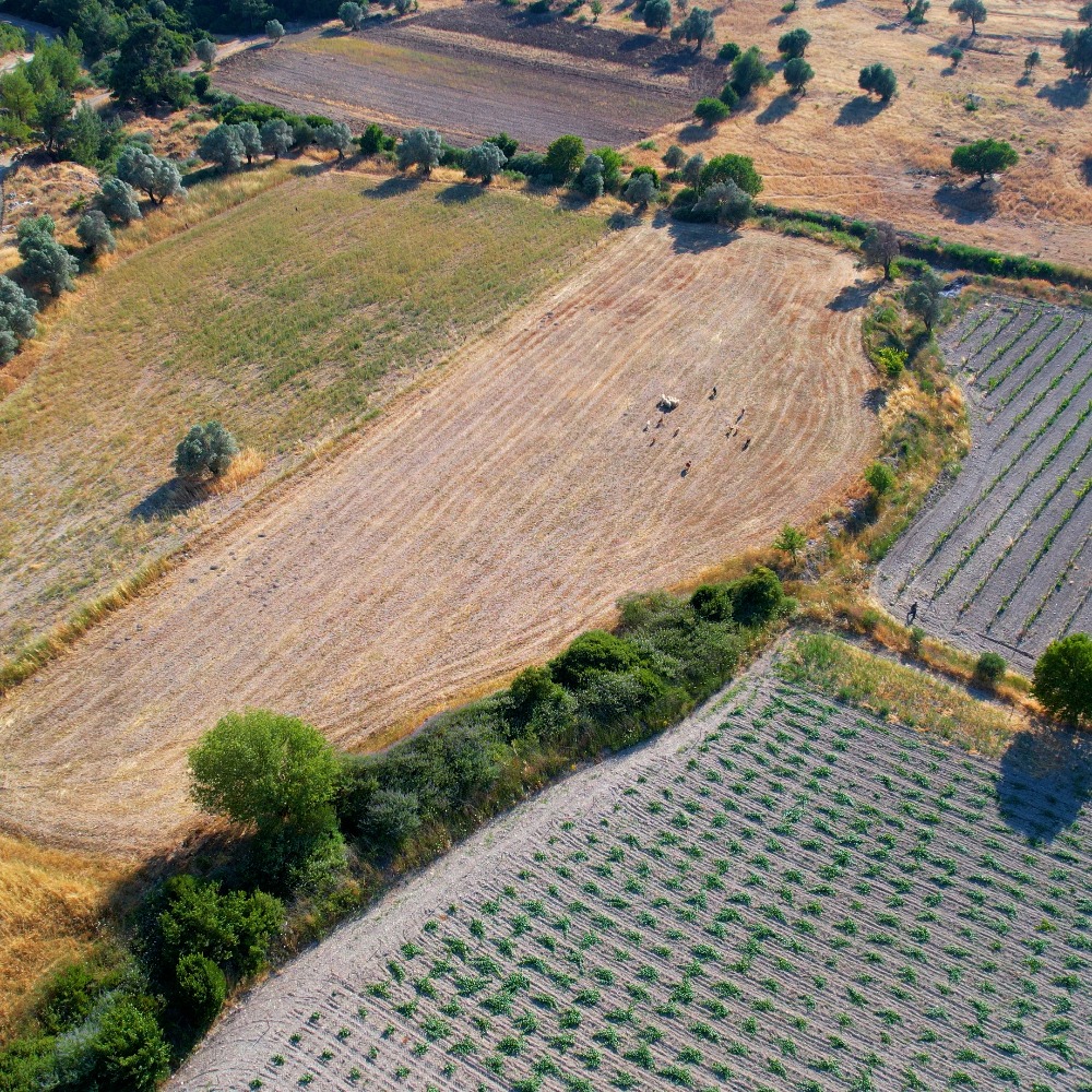 Urla Yağcılar'da Satılık Tarla