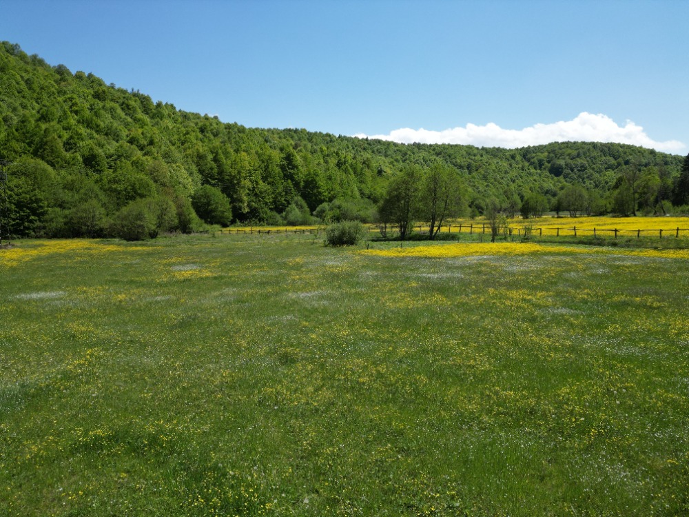 FIRSATTIR!!! OKSİJEN DEPOSU İZNİK KUTLUCA 1300M2 SATILIK ARSA