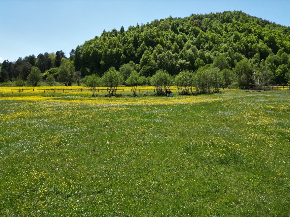 FIRSATTIR!!! OKSİJEN DEPOSU İZNİK KUTLUCA 1300M2 SATILIK ARSA
