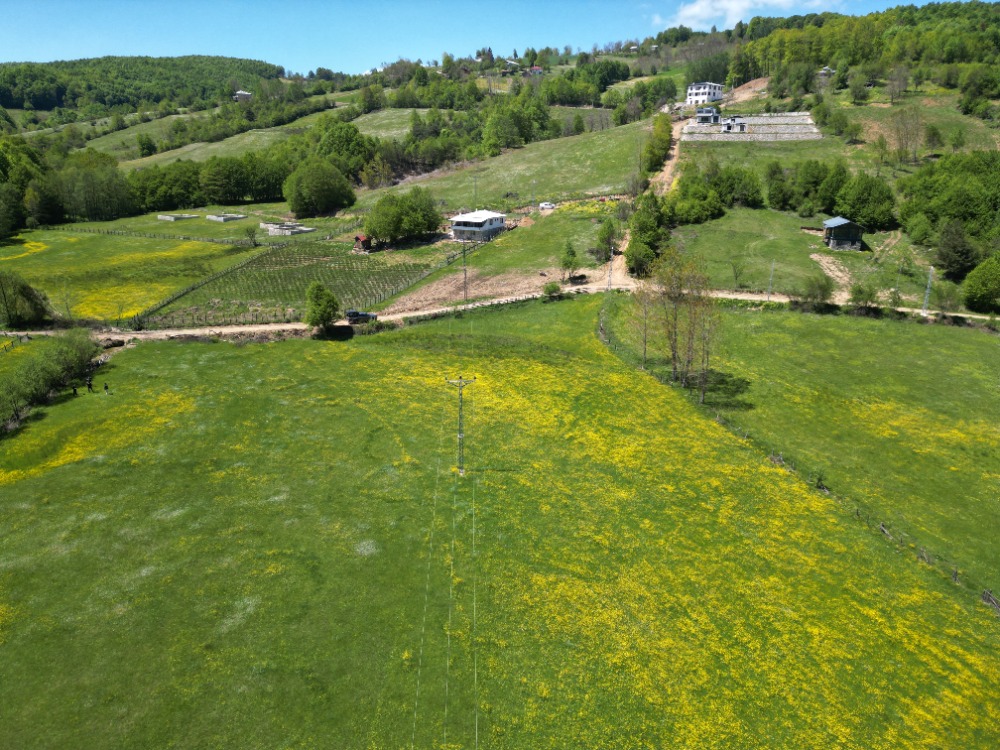 FIRSATTIR!!! OKSİJEN DEPOSU İZNİK KUTLUCA 1300M2 SATILIK ARSA