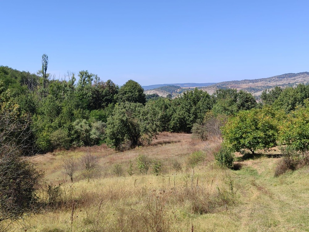 Bilecik Gölpazarı Büyükbelen Köyünde Yatırımlık Fırsat Arazi!!!!