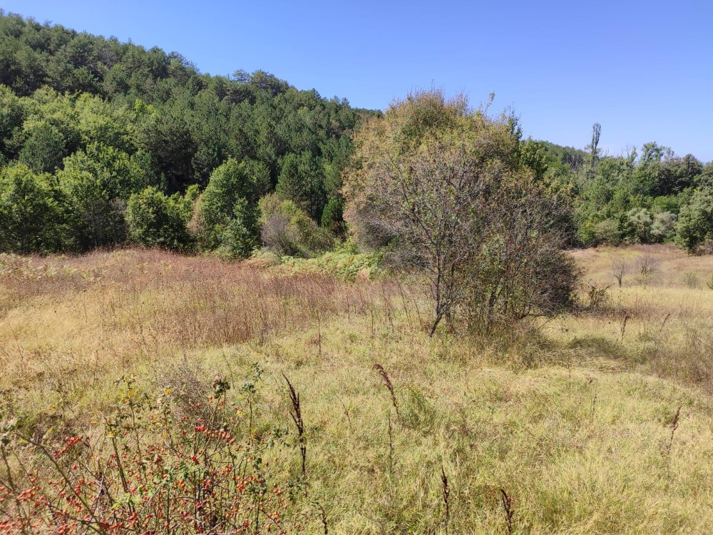Bilecik Gölpazarı Büyükbelen Köyünde Yatırımlık Fırsat Arazi!!!!