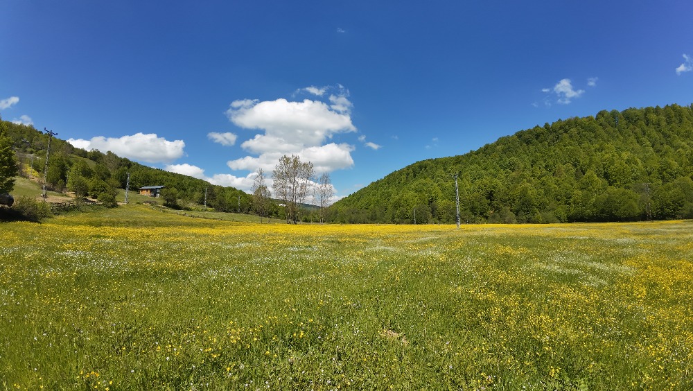 FIRSATTIR!!! OKSİJEN DEPOSU İZNİK KUTLUCA 1300M2 SATILIK ARSA