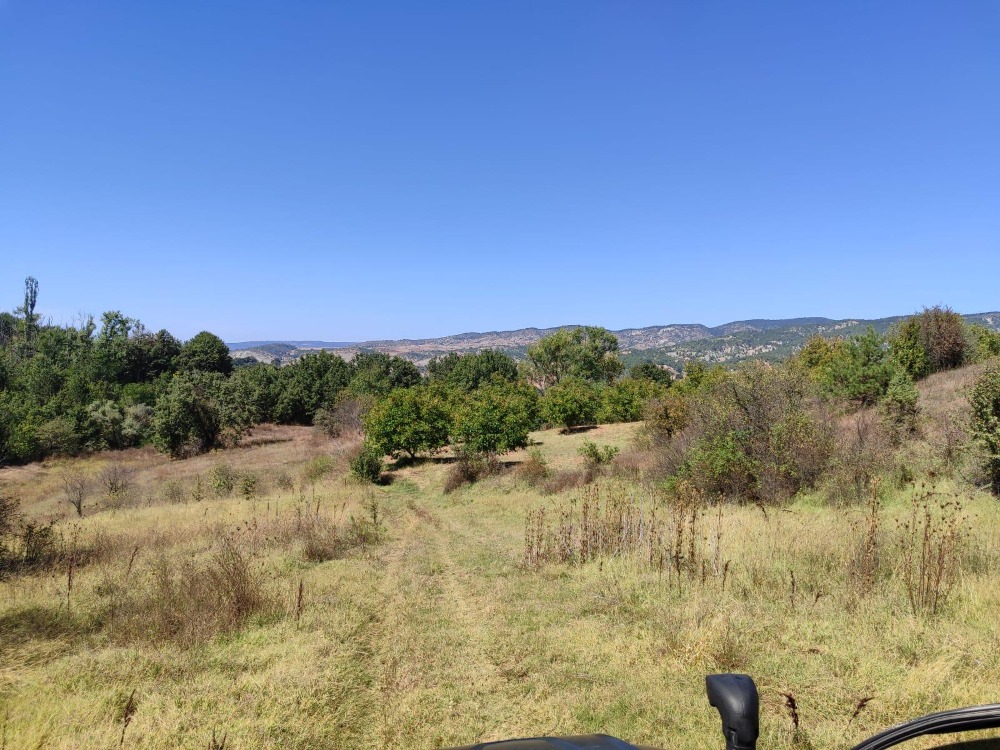 Bilecik Gölpazarı Büyükbelen Köyünde Yatırımlık Fırsat Arazi!!!!