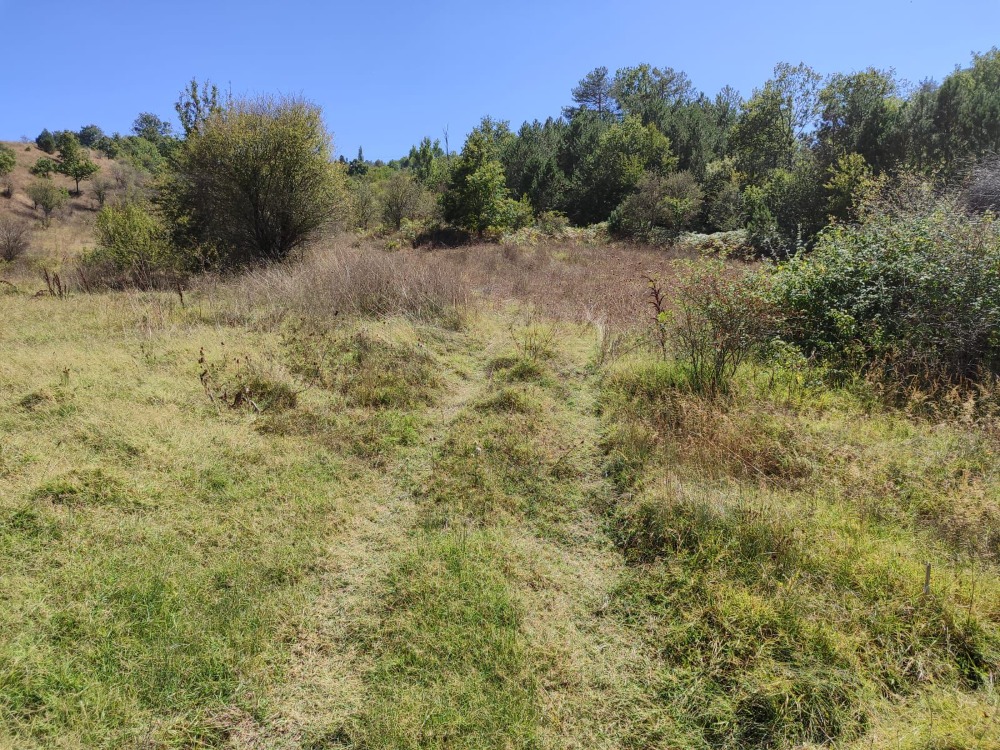 Bilecik Gölpazarı Büyükbelen Köyünde Yatırımlık Fırsat Arazi!!!!