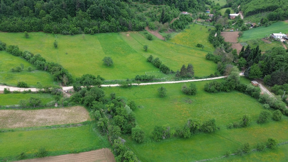 İznik Elmalı Mahallesinde Değerli Konumda 340 m² İmarlı Arsa