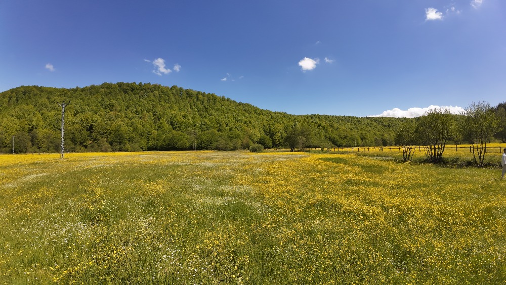 FIRSATTIR!!! OKSİJEN DEPOSU İZNİK KUTLUCA 1300M2 SATILIK ARSA
