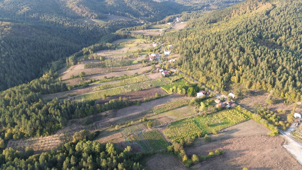🔥 YATIRIMCI VE OTURUMCUYA ÖZEL! İZNİK ELMALI’DA VİLLA İMARLI 788M2 FIRSAT ARSA!