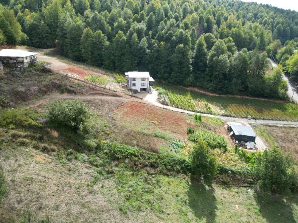 BURSA İZNİK KUTLUCA’DA İMARLI ARSA – DOĞAYLA İÇ İÇE YAŞAM FIRSATI