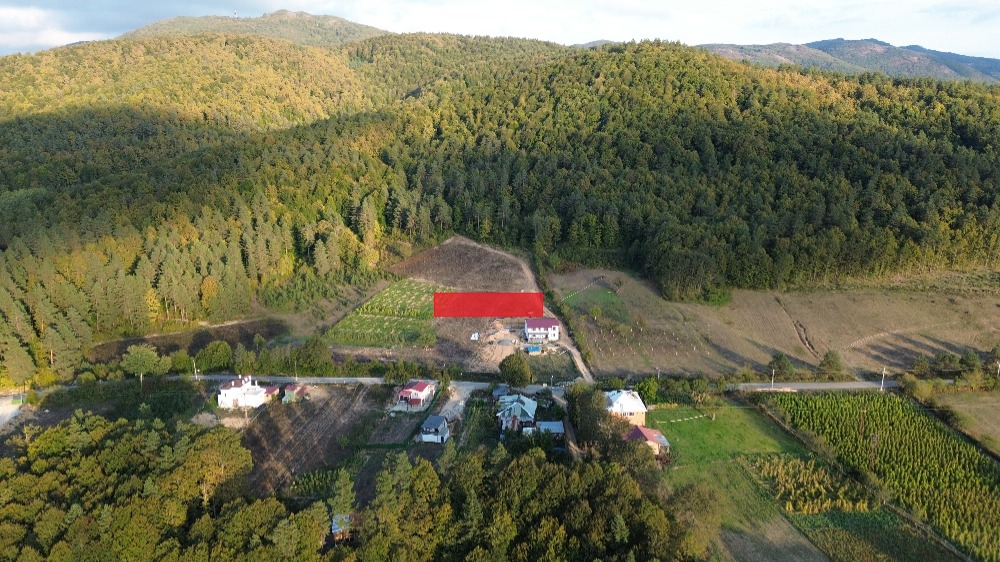 🔥 YATIRIMCI VE OTURUMCUYA ÖZEL! İZNİK ELMALI’DA VİLLA İMARLI 788M2 FIRSAT ARSA!