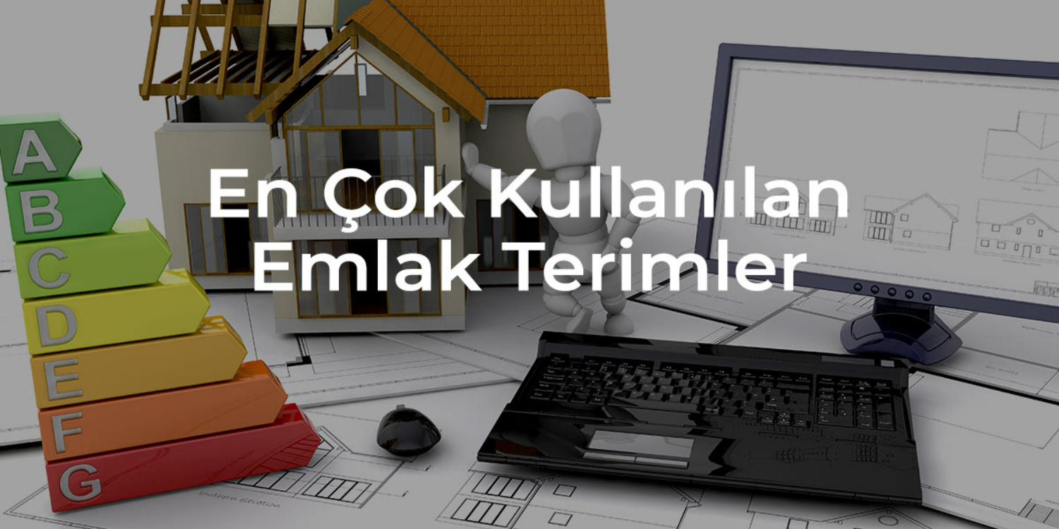 blog resim