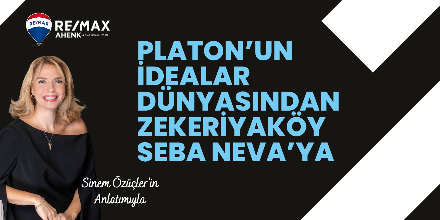 blog resim