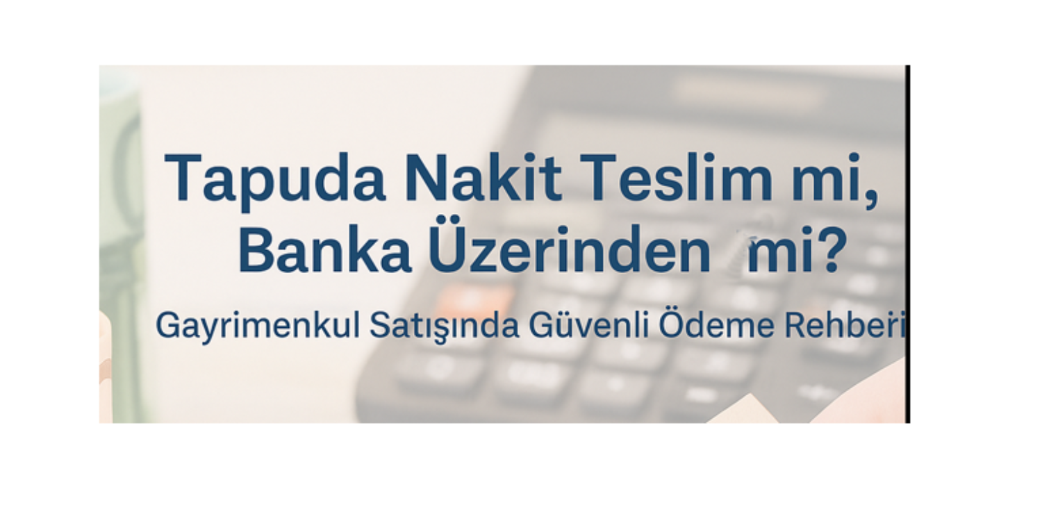 blog resim