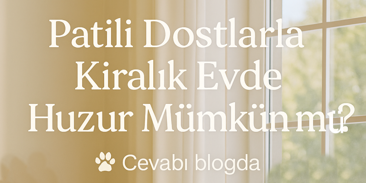blog resim