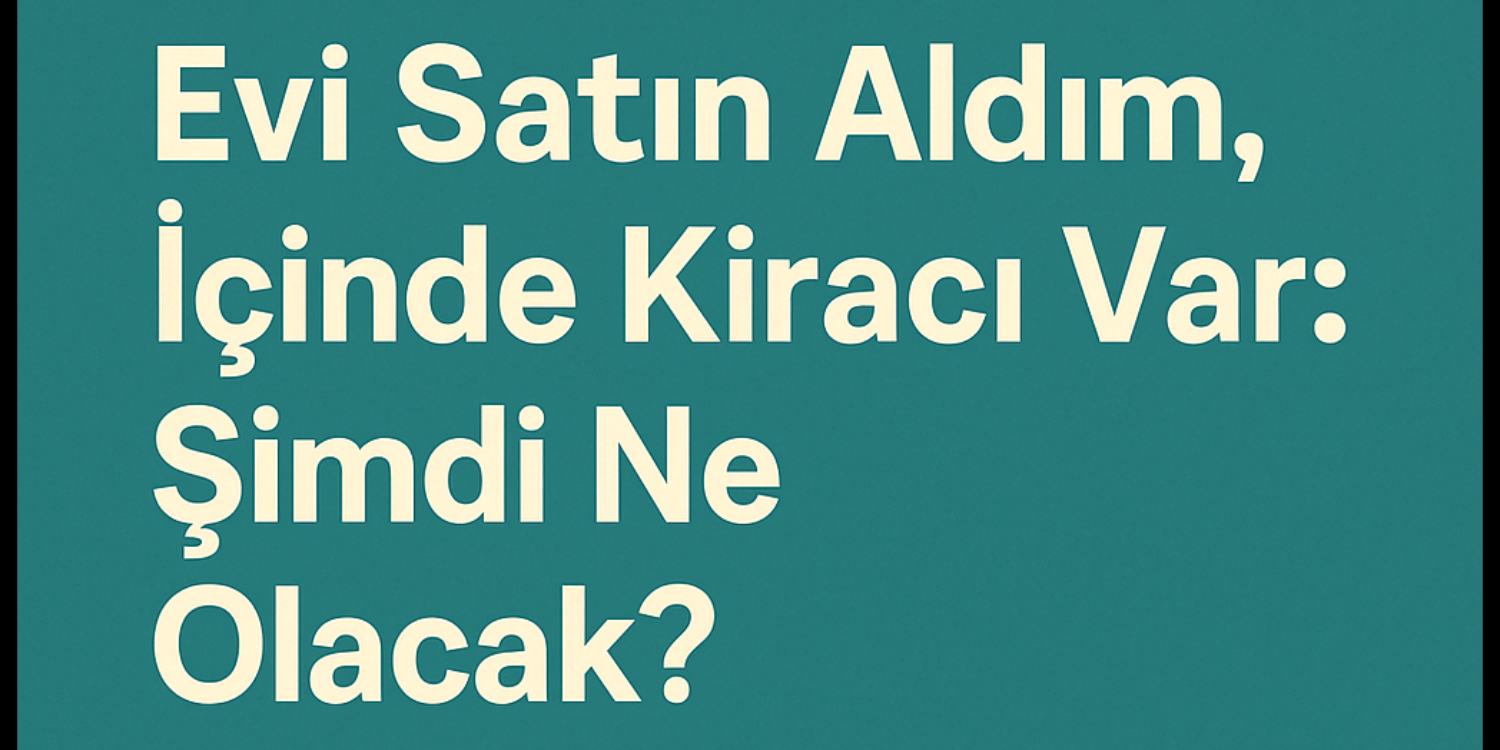 blog resim
