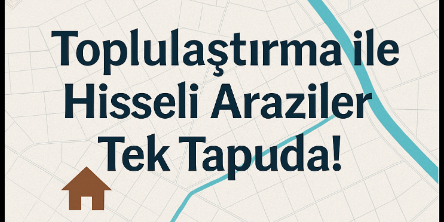 blog resim
