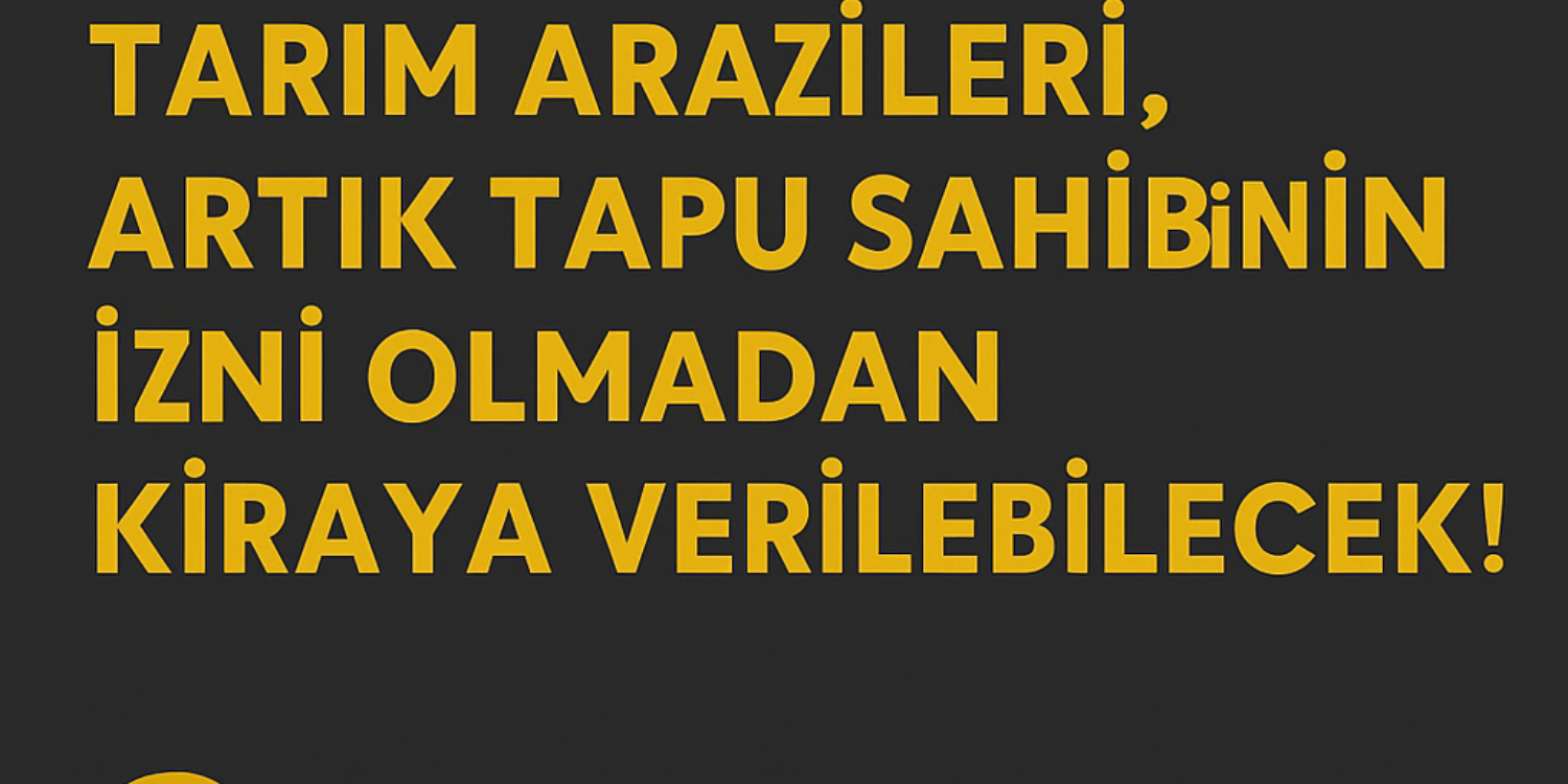 blog resim