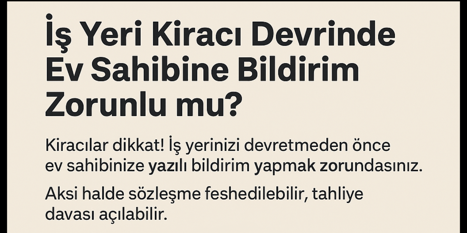 blog resim