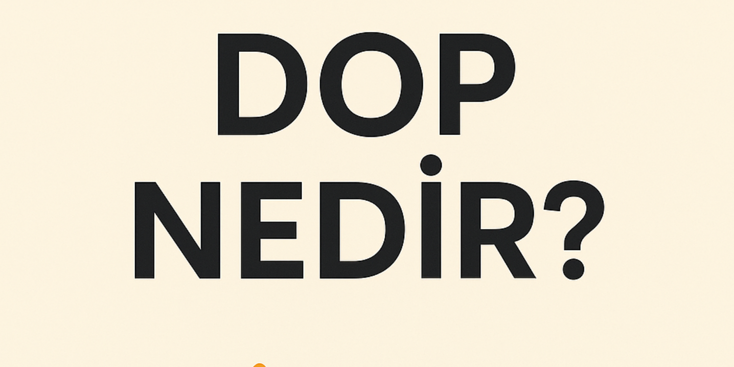blog resim