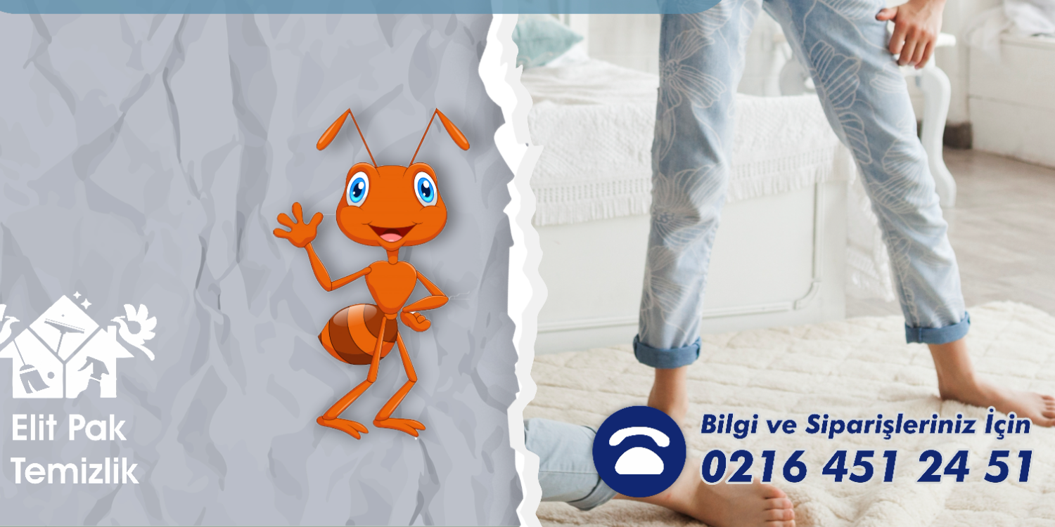 blog resim