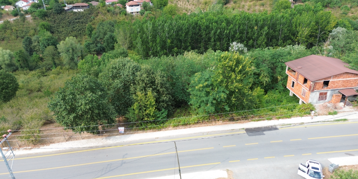 blog resim